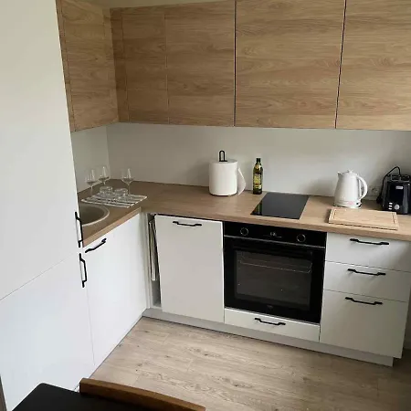 Peaceful Summer Flat In Parking 公寓 派尔努